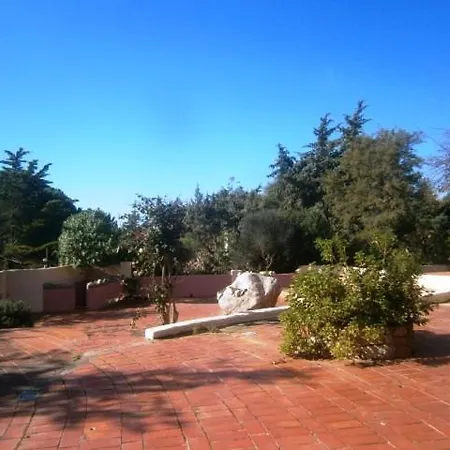 Majori
