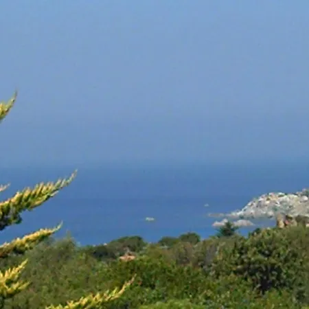 Majori רנה מג'ורה